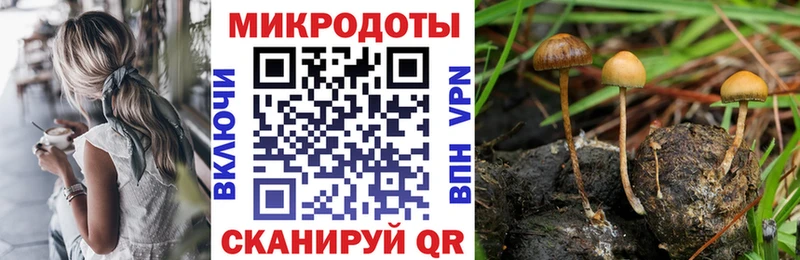 Псилоцибиновые грибы Psilocybine cubensis  Купить закладки  Бор 